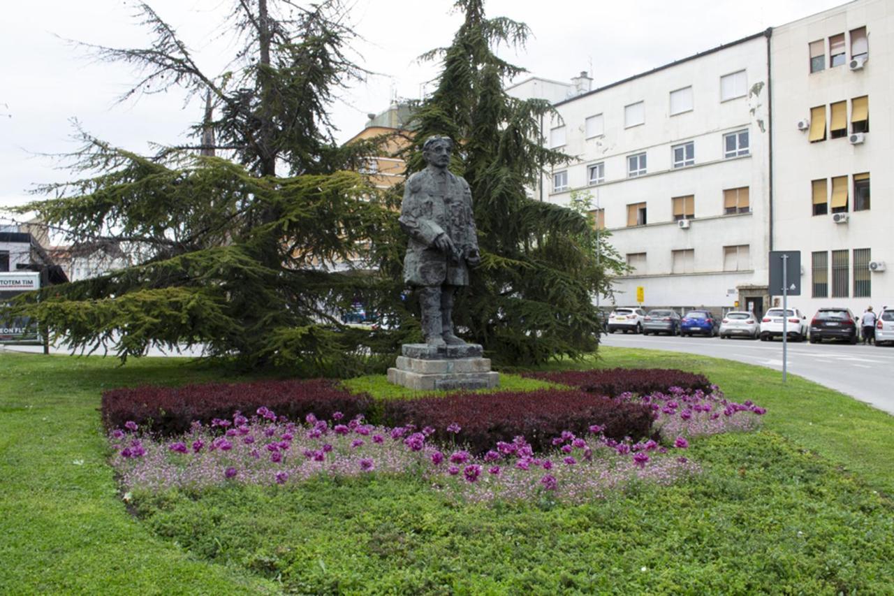 Nicola's Lejlighed Novi Sad Eksteriør billede